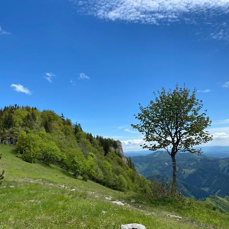 Apartman Viki Banska Bystrica Luaran gambar